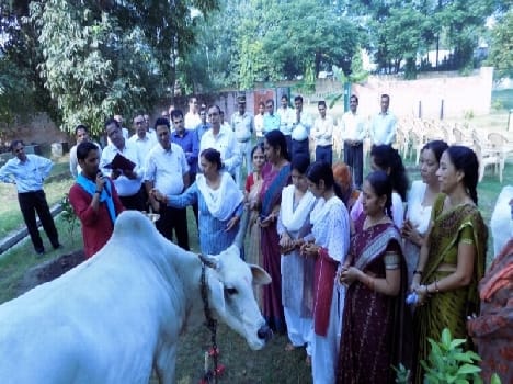 On the anniversary of the plantation Jamnalal