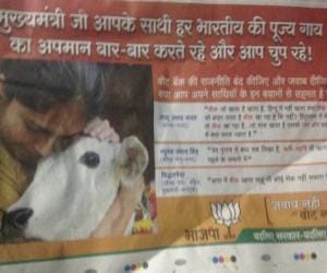 Bihar bjp gives ad on cow, kejriwal attacks bjp