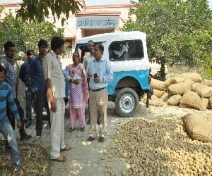 Do not expect the certified seed potato farmer