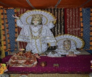 chaitanya mahaprabhu welcome in vrindavan