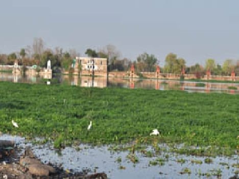 Lakshmi rhythm files are clearing dirty water