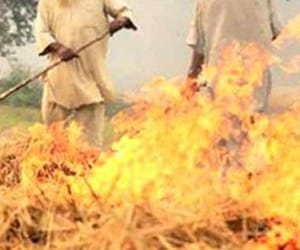 NGT strict on pollution, ban on burning straw in the fields