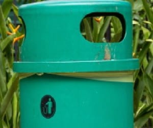 Ward-1 alloted extra dust bins
