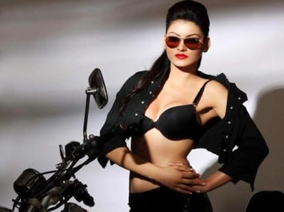 urvashi rautela miss salman khan's sultan