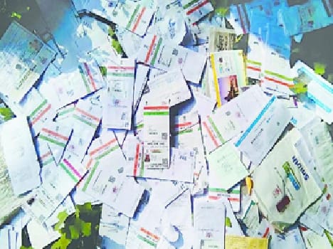 Thousands of litter at the base card