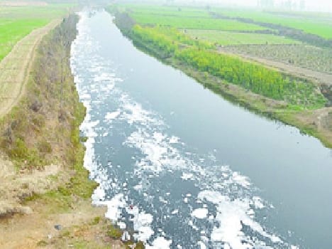 Chemical flows in hindon river