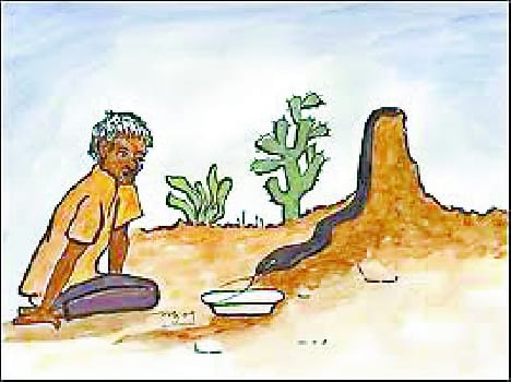 three farmers death more in bundelkhand