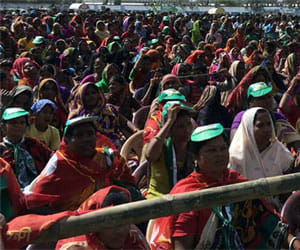 political party searching election managment company
