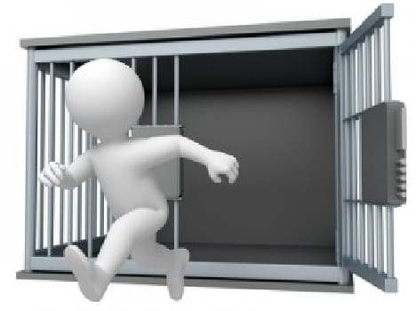 smuggling, culprit, run, arrest