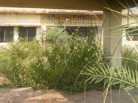 animal hospital disappear in plants