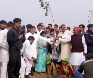 UP creates world record in plantation.