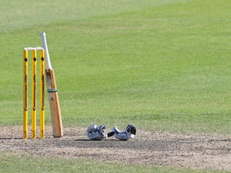 a snake found during cricket match