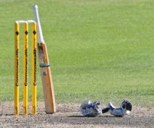 DCA won from DDA by seven wickets.