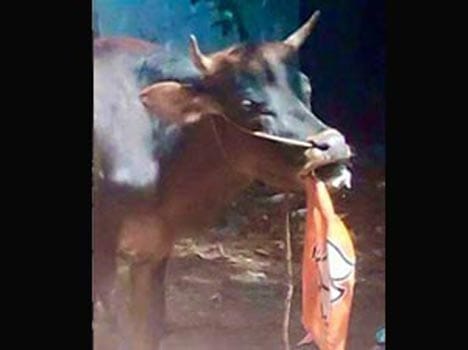 social media comments on Bihar elections results
