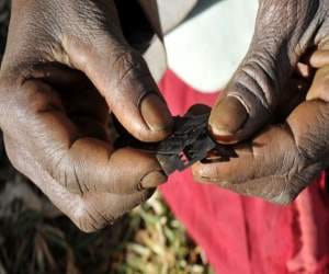 procedure through which fgm is carrieed