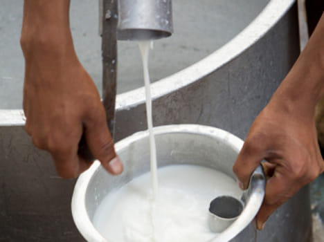 Continued food adulteration