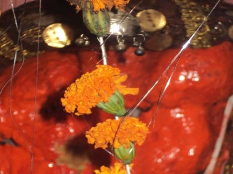 Hanuman Jayanti celebrated with reverence