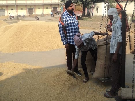 Purchasing Center deserted , growing paddy procurement data