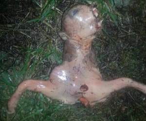 woman found alien in backyard