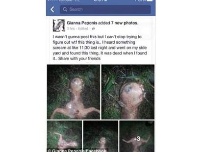 woman found alien in backyard