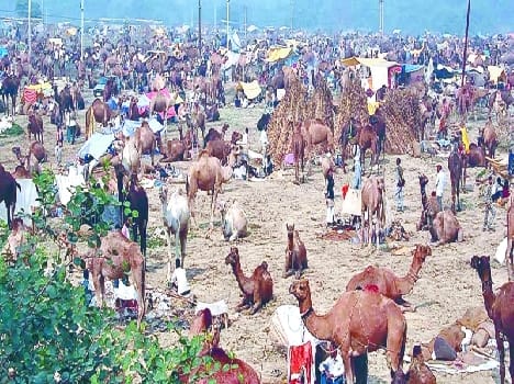 bateshwar