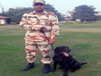 modi government will honor to a dog