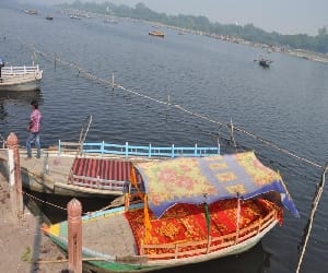 yamuna is more polluted than ganga.