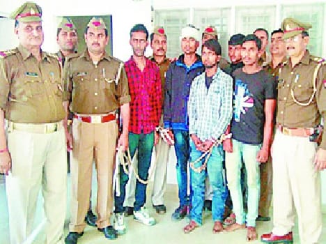 gang arrest 