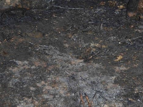 two huts burn, baffalo and other luggage damage
