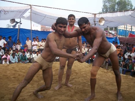 Cirque many wrestled equal missed