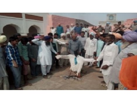 Aggitation for Electricity cost