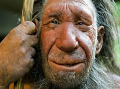 ancestor of Homosapien.