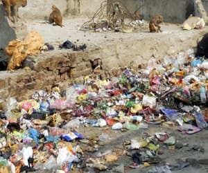 Workers strike, not picking up garbage.