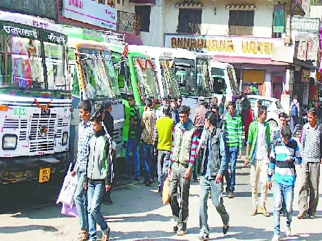 A large number of migrants returned to work