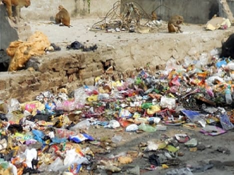Dlavgr still garbage on the street
