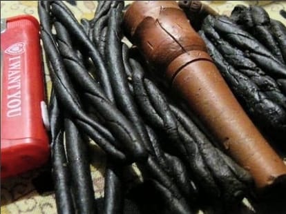 Cannabis charas illegal business in himachal.