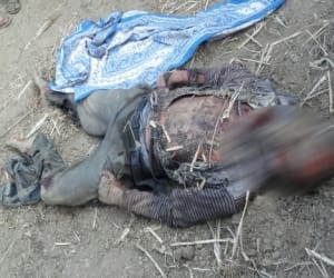 five bus passengers died.