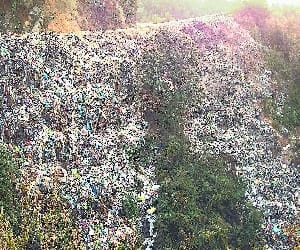 Create Photo dragging on WhatsApp, garbage will be recycled