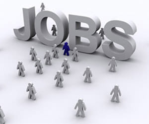 IT city will offer jobs in 2016