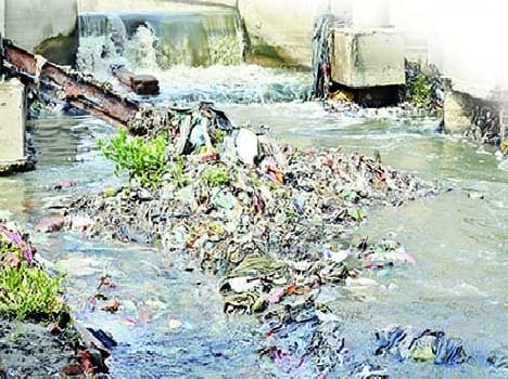 swimmer clean yamuna