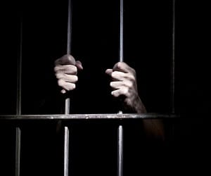 most wanted criminal deport from saudi arab