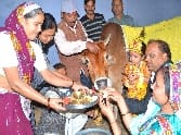 By devotees Gopashtmi Cow on worship