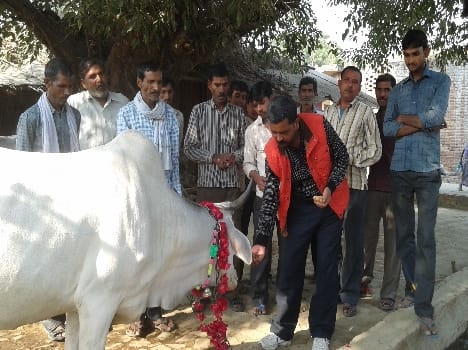 gopashthmi celebrated by the people
