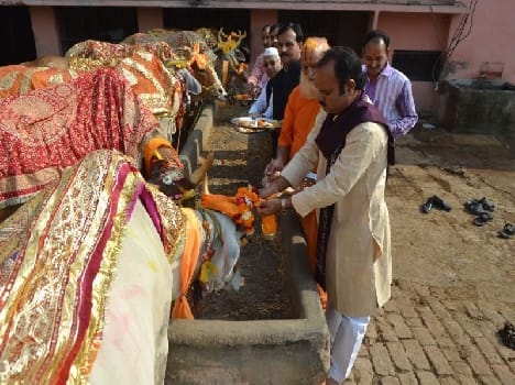 gopastami in vrindavan