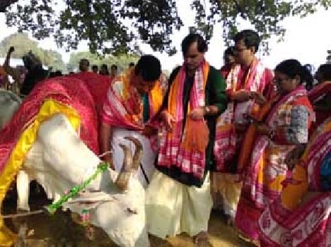 The valley is also one of the Vindhya Vrindavan