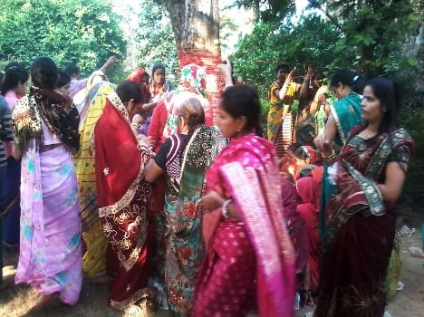 On the ninth of the AMLA will worship Suhaginon