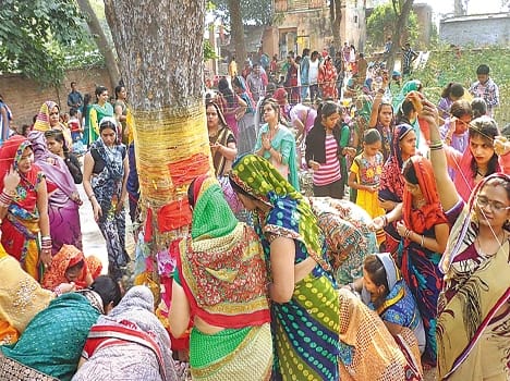 Renewable ninth wished prosperity