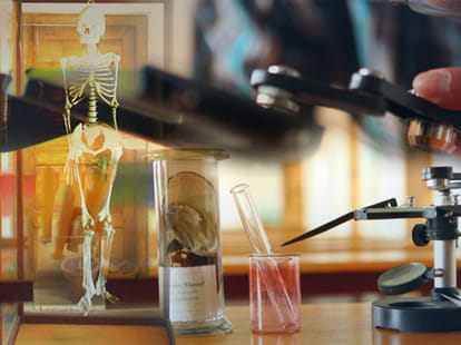 School's lab found in human embryos, also parts of the protected animals