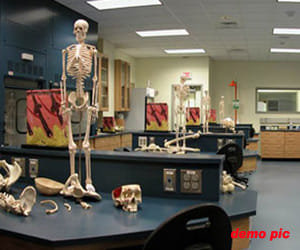 skelton go for testing.