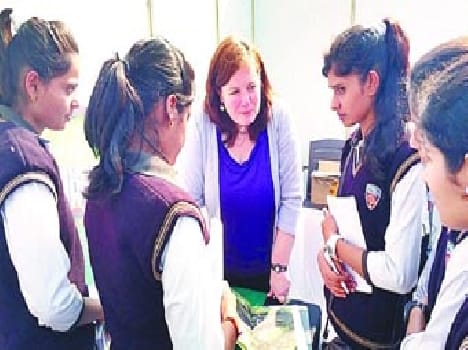 The foreign teachers teaching tips for students